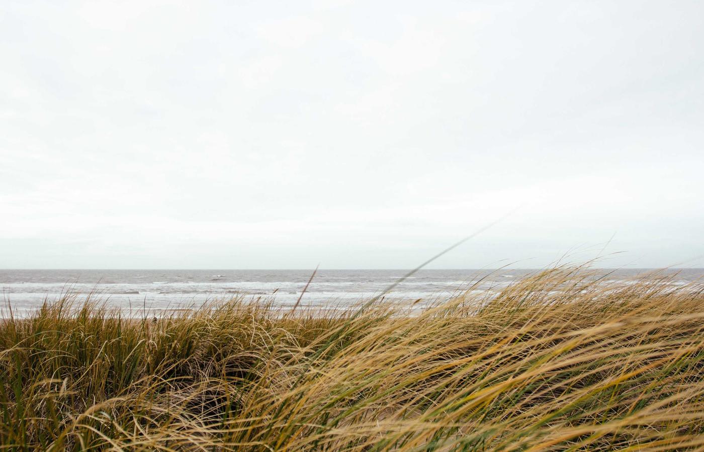 Elegant gedekte tafels voor een bedrijfsfeest