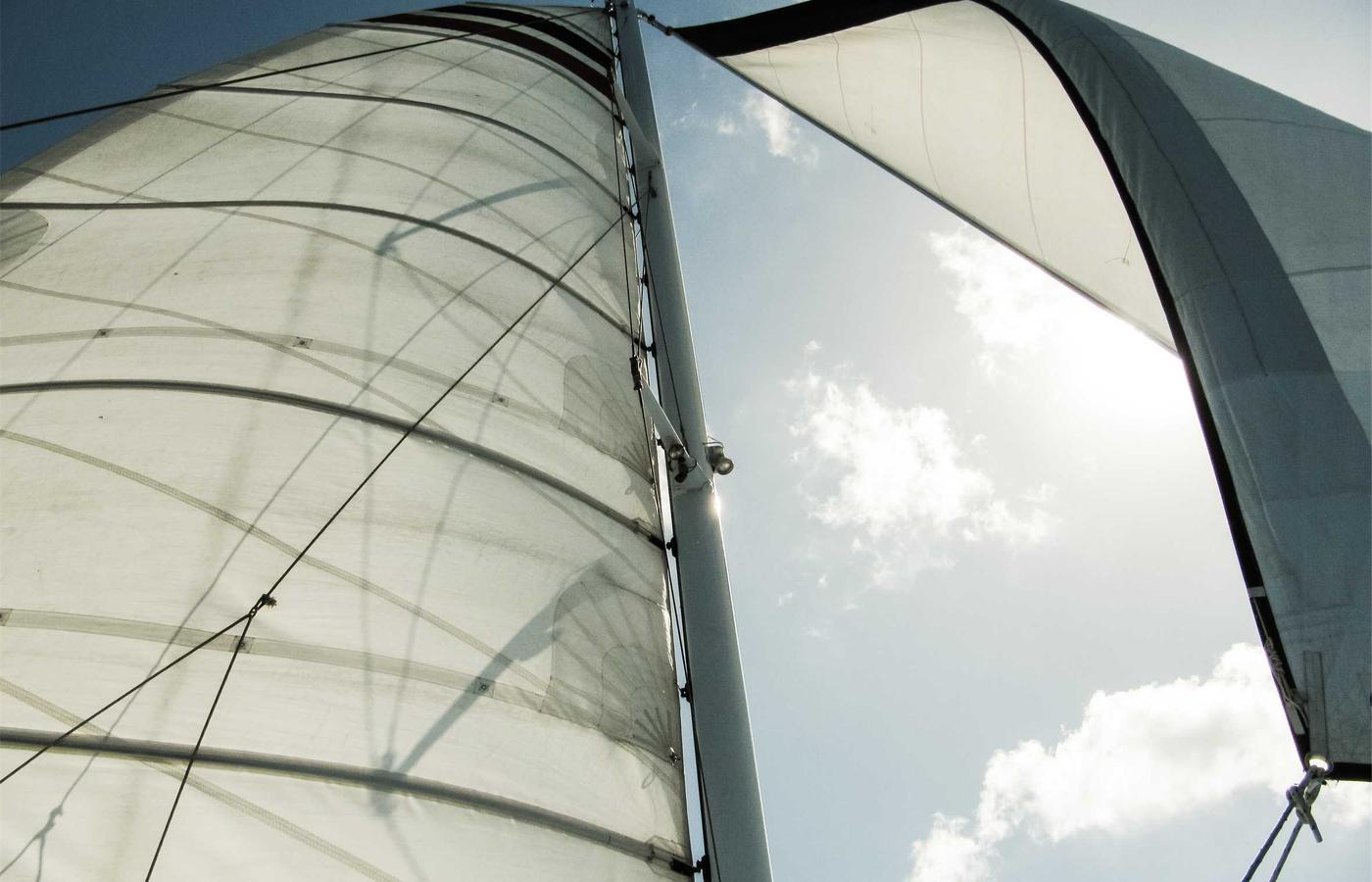 Portret van de Oprichter